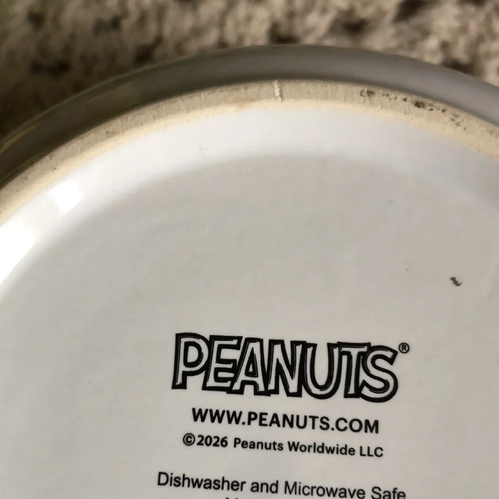 Peanuts brand new